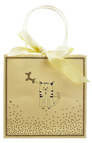 Пакет А5 23*18*10 